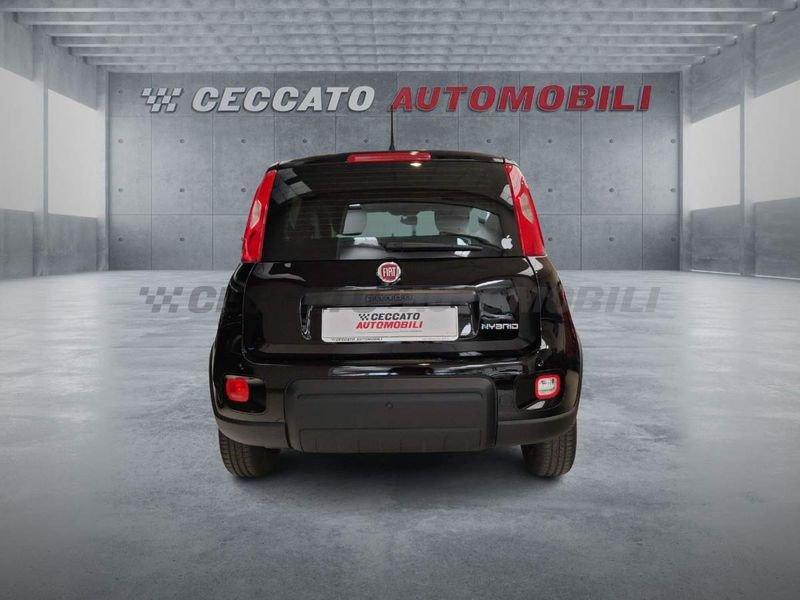 FIAT Panda Panda 1.0 firefly hybrid s&s 70cv