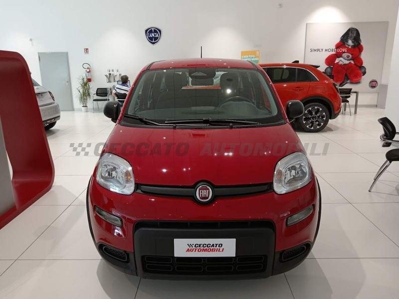 FIAT Panda 1.0 70cv Hybrid Panda