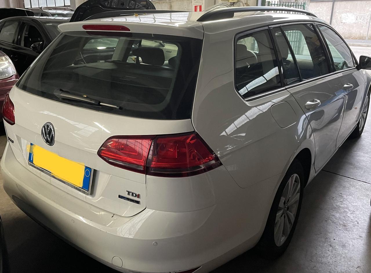 Volkswagen Golf Variant 1.6 TDI 105 CV Highline BlueMotion Technology