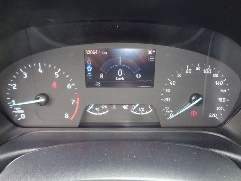 Ford Fiesta Active 1.0 EcoBoost Hybrid 125CV Active