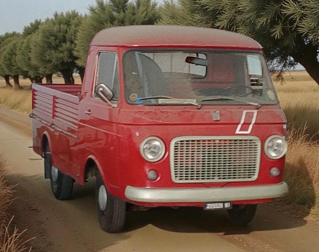 Fiat 241 T Pikup MOTORE BLOCCATO