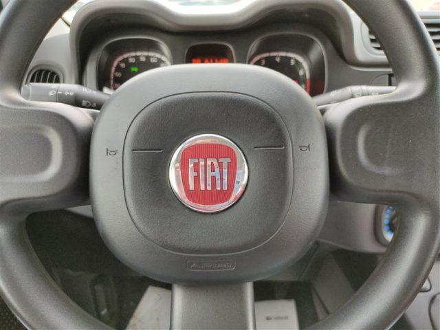 FIAT Panda 1.2 Easy CLIMA OK NEOPATENTATI ..