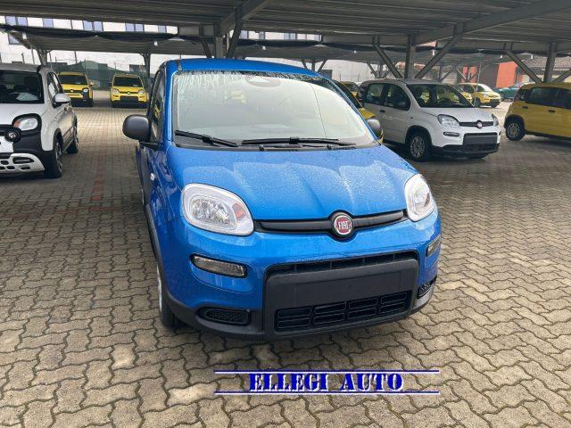 FIAT Panda PROMO FINANZ.PANDINA 1.0 Hybrid KM 0