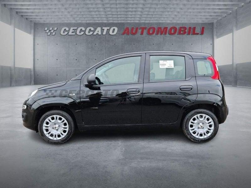 FIAT Panda Panda 1.0 firefly hybrid s&s 70cv