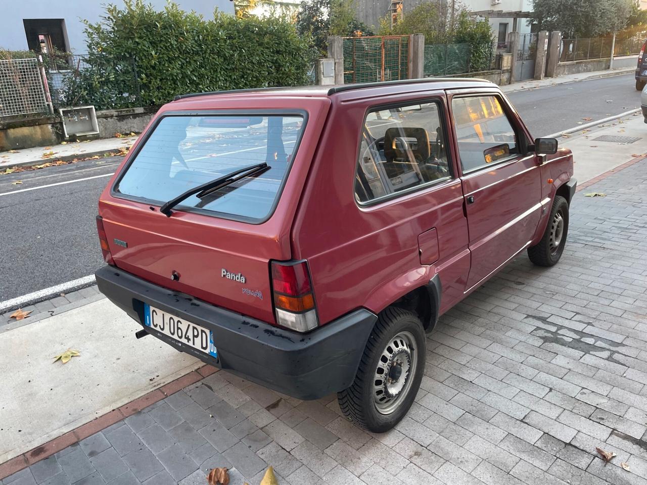 Fiat Panda 1100 i.e. cat Young