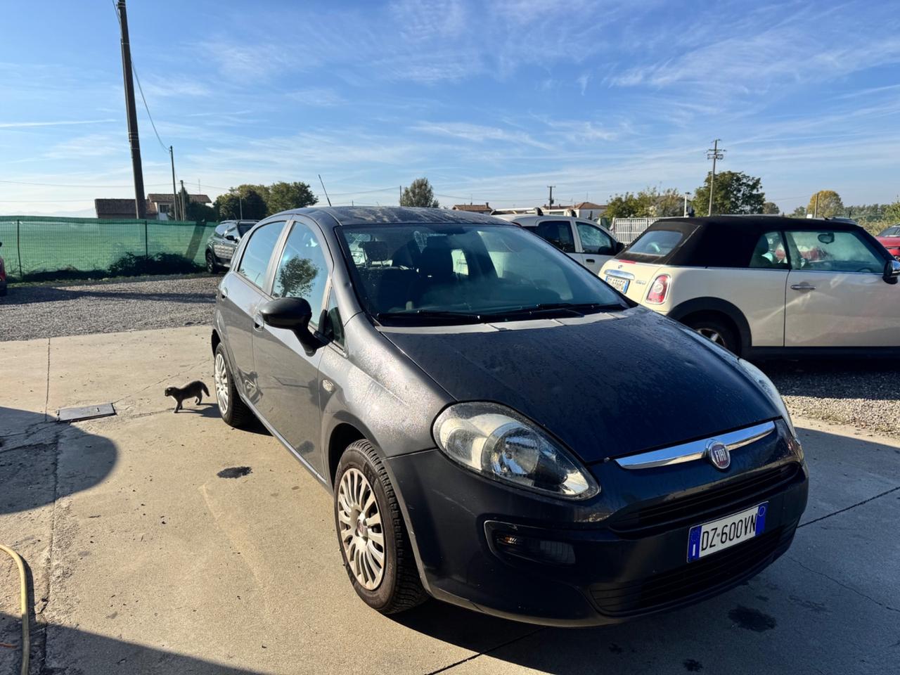 Fiat Punto Evo 1.2 5 porte Dynamic