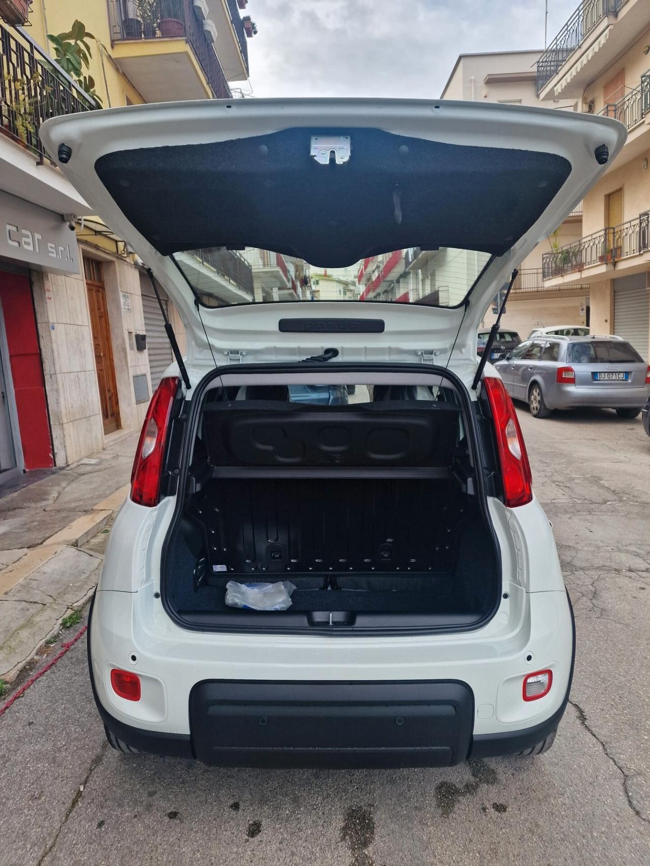 Fiat Panda 1.0 FireFly S&S Hybrid