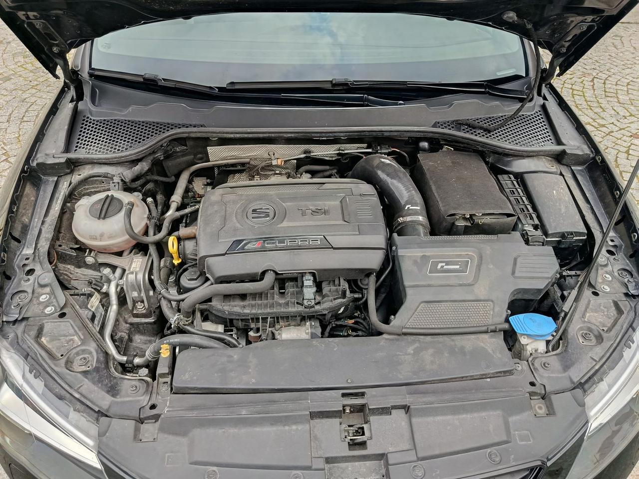 Seat Leon Cupra #8977