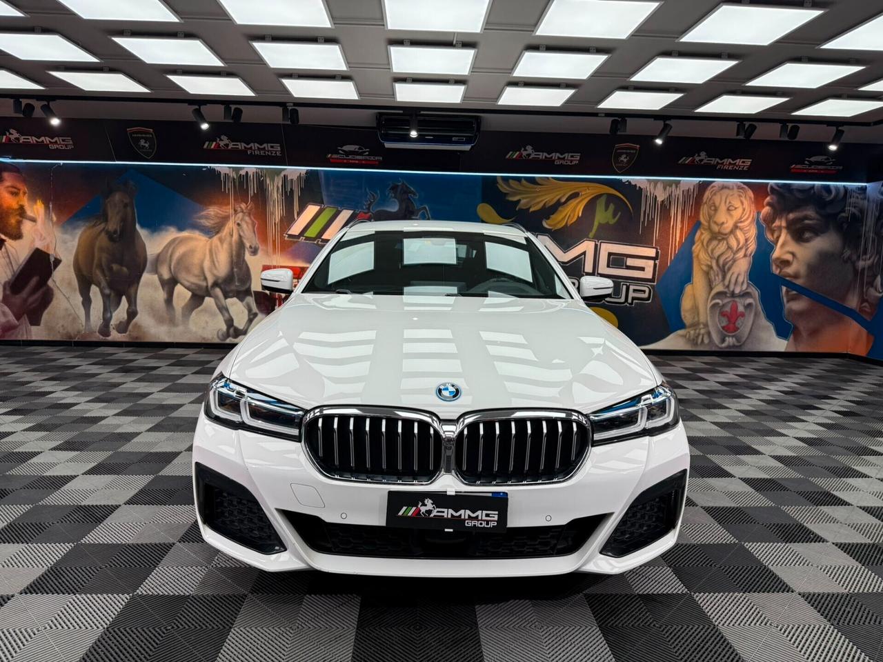 Bmw 530e xDrive Touring Business (648)