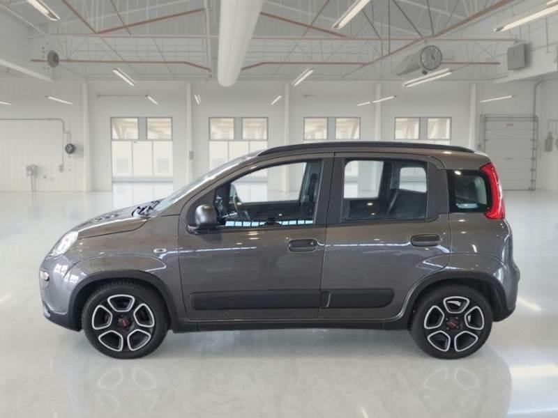 FIAT PANDA 1.0 FireFly 70cv S/S Hybrid City Life 5 PORTE