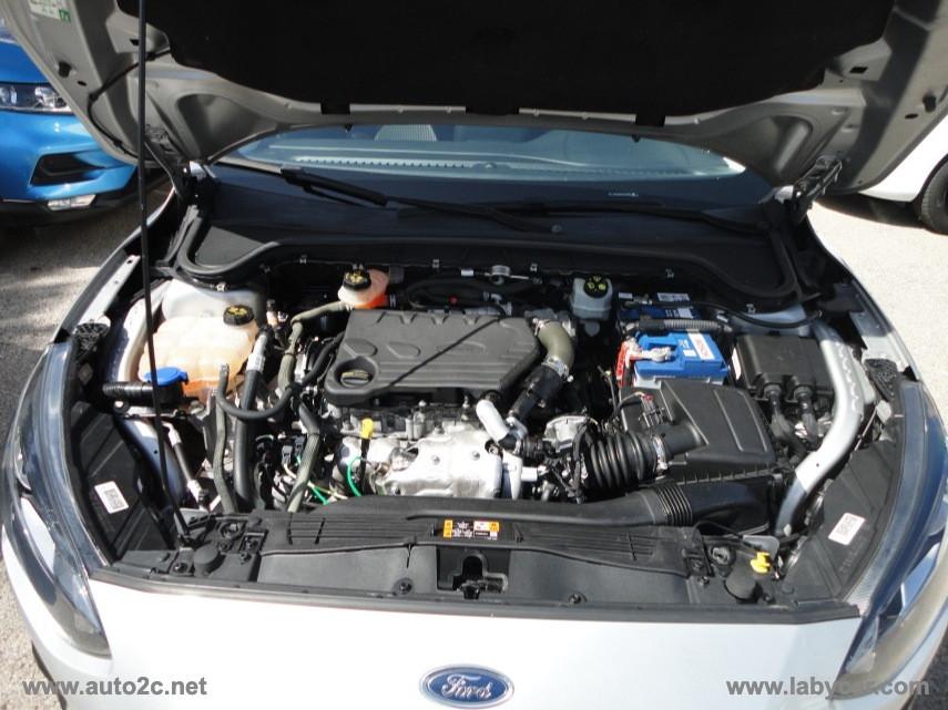 FORD Focus 1.5 EcoBlue 120CV 5p. ST Line