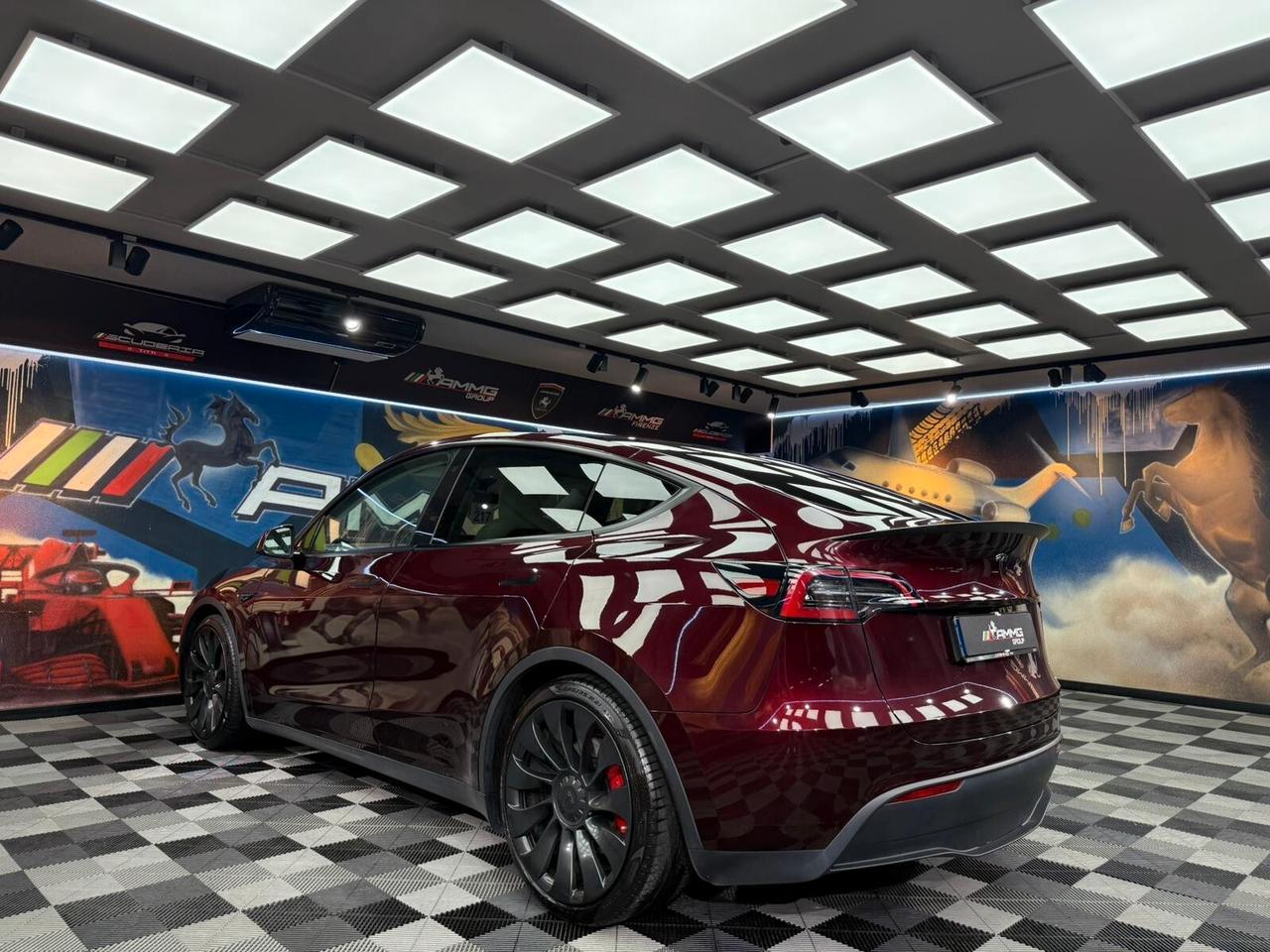 Tesla Model Y AWD Performance (423)