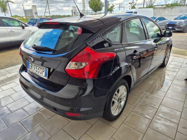 FORD Focus 1.6 TDCi 115 CV Business