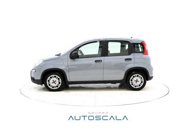 FIAT New Panda 1.0 FireFly S&S Hybrid