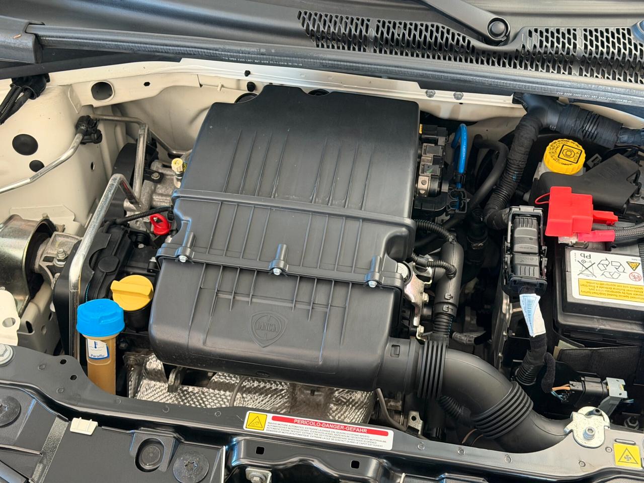 Lancia Ypsilon 1.2 69 cv. ELEFANTINO BLU