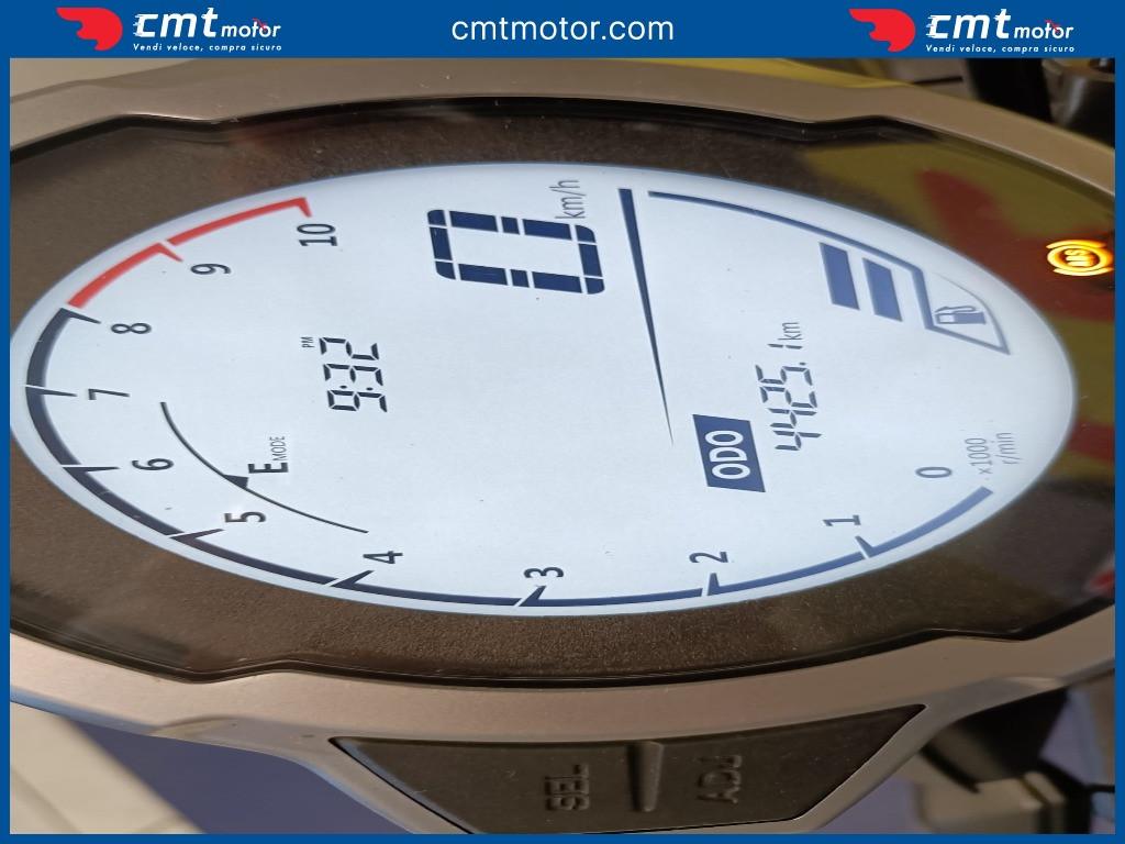 CF MOTO 300CL-X - 2024