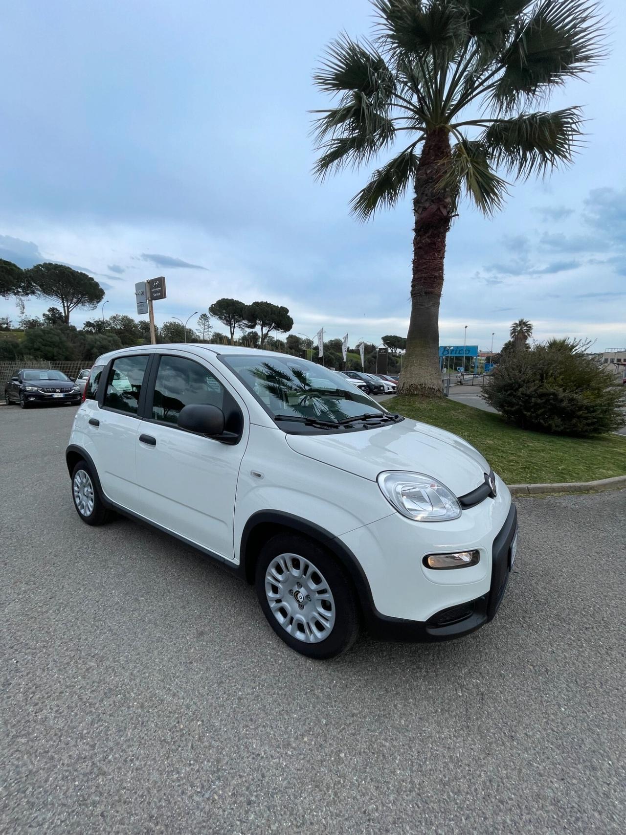 Fiat Panda 1.0 FireFly S&S Hybrid