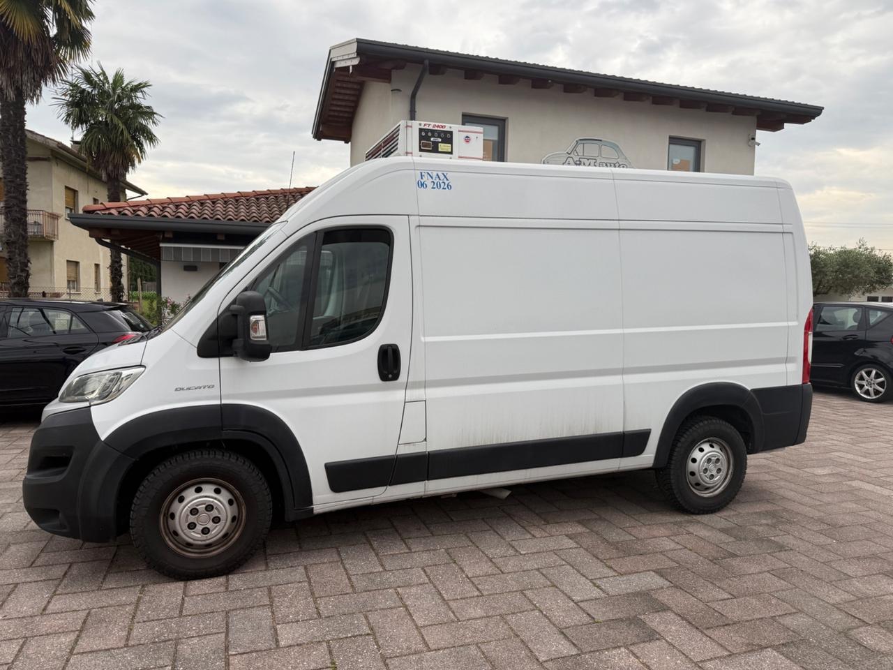 Fiat ducato frigo
