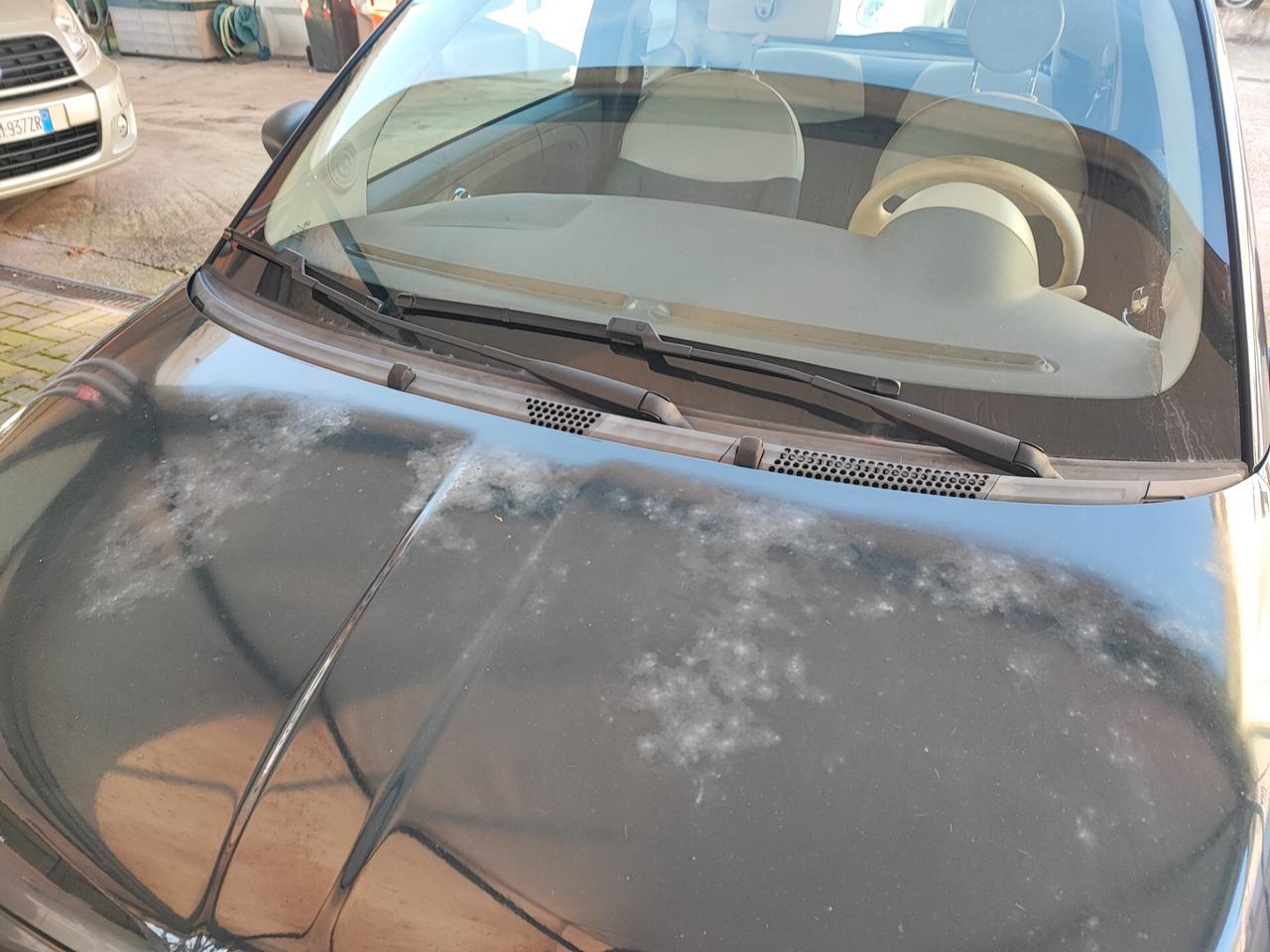 Fiat 500 1.2 Pop KM 125.000 Neopatentati