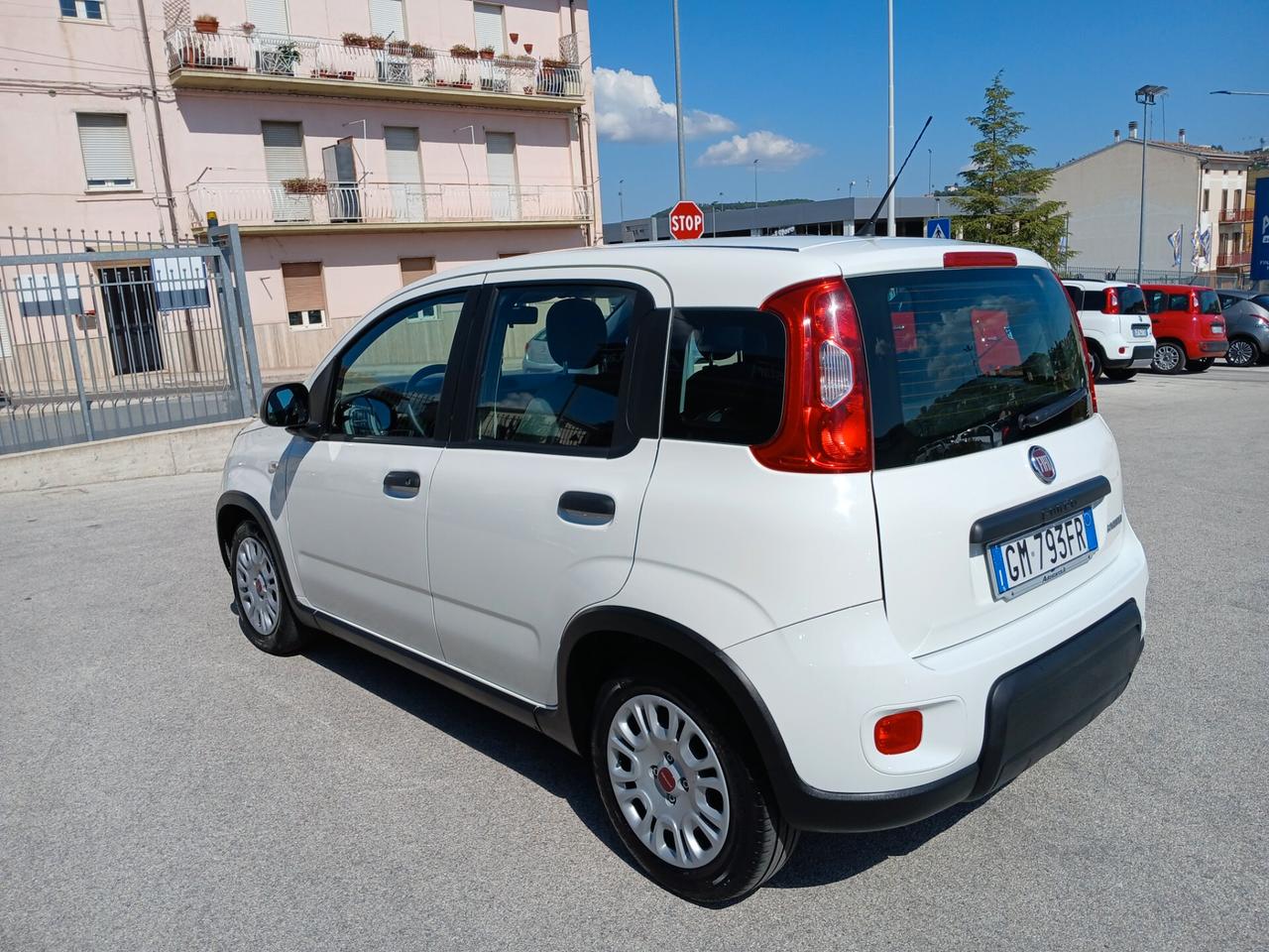 FIAT PANDA 1.0 BENZINA HYBRID 70CV 2023
