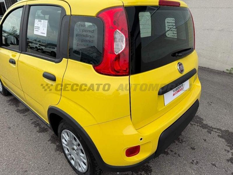 FIAT Panda 1.0 70cv Hybrid Panda