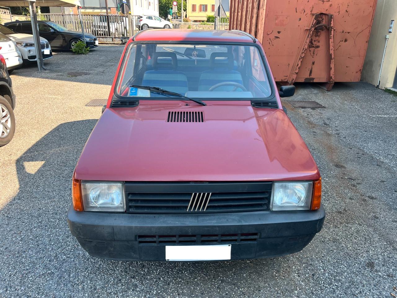 Fiat Panda 900 i.e. cat Young