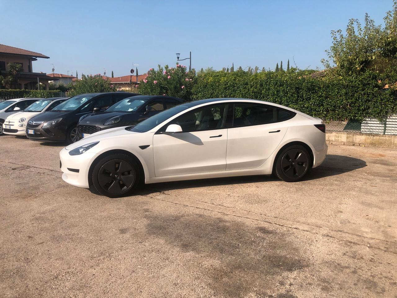 Tesla Model 3 Standard RWD Plus