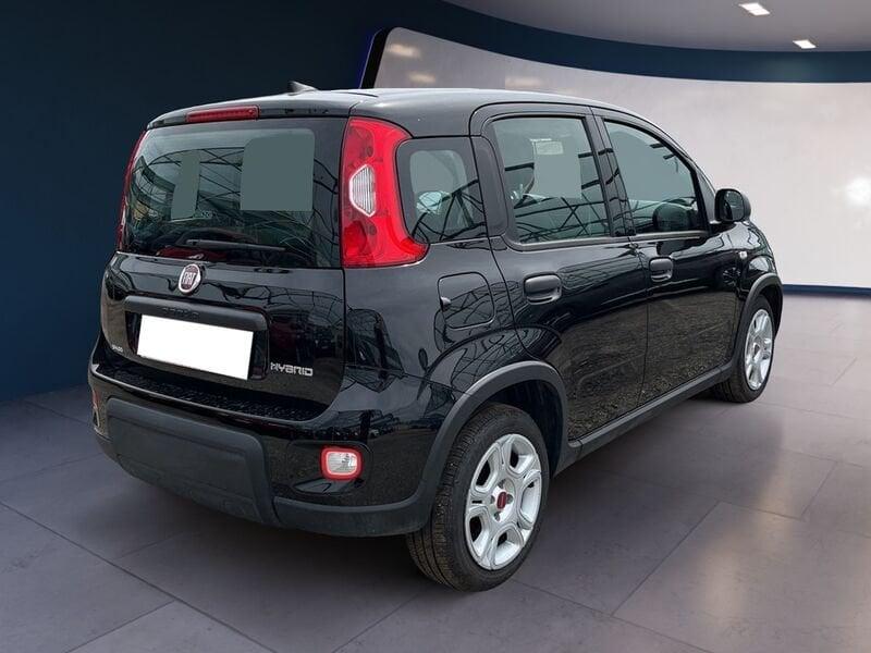 FIAT Panda My23 1.0 70cv Hybrid Panda