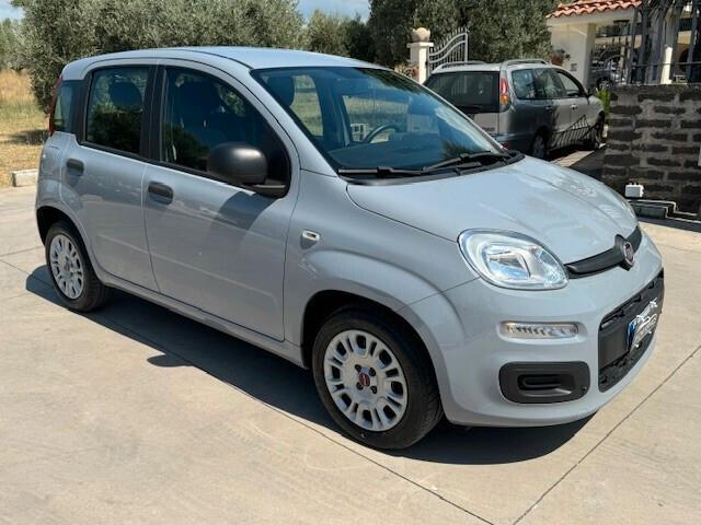 Fiat Panda 1.2 69 cv benzina adatta a neopatentati