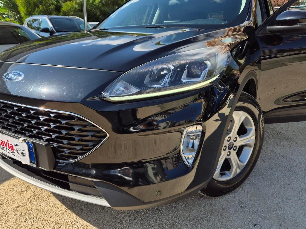 Ford Kuga 1.5 EcoBlue 120CV aut. Connect