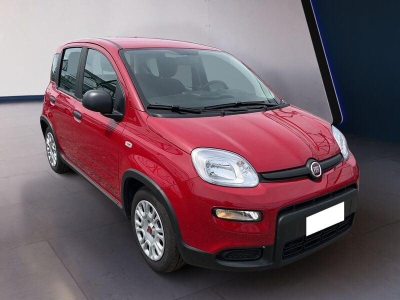 FIAT Panda My24 1.0 70cv Hybrid Panda