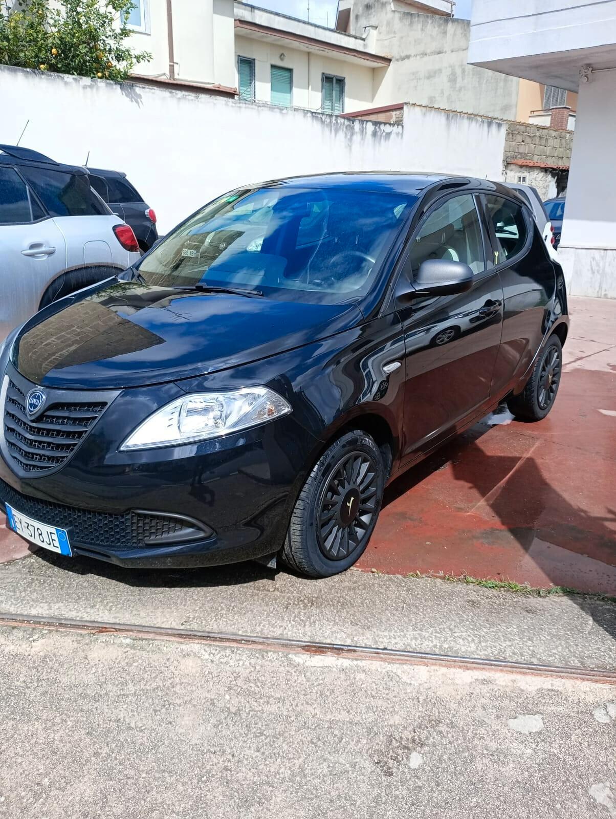 Lancia Ypsilon 1.2 69 CV 5 porte Elefantino