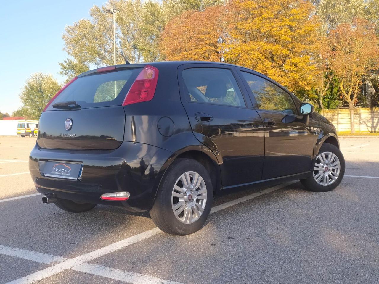 Fiat Punto Lounge 1.2 #7217