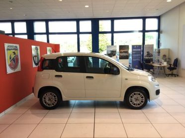 FIAT Panda Panda 1.2 Easy