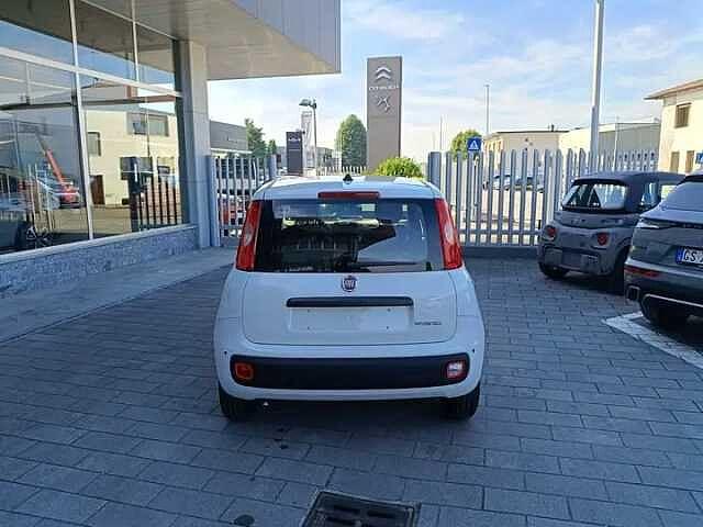 Fiat Panda Hybrid 1.0 FireFly 69cv ICON AZIENDALE