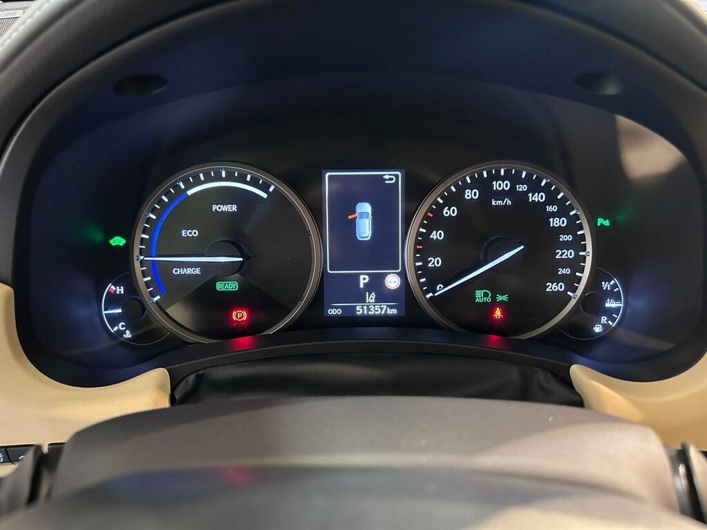 Lexus NX 300 300 2.5 Hybrid Luxury 4WD CVT