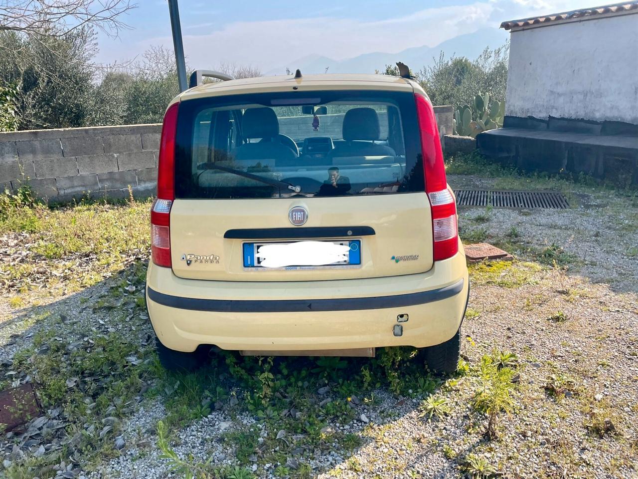 Fiat Panda 1.2 Metano 60cv (Incidentata)