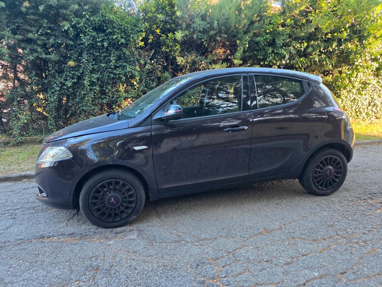 Lancia Ypsilon 1.2 69 CV 5 porte GPL Ecochic Elefantino