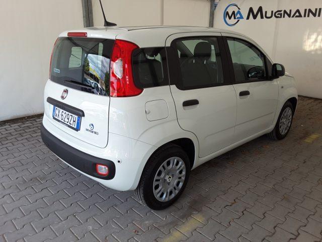 FIAT Panda 1.0 FireFly 70cv Hybrid *solo 2.000 Km*