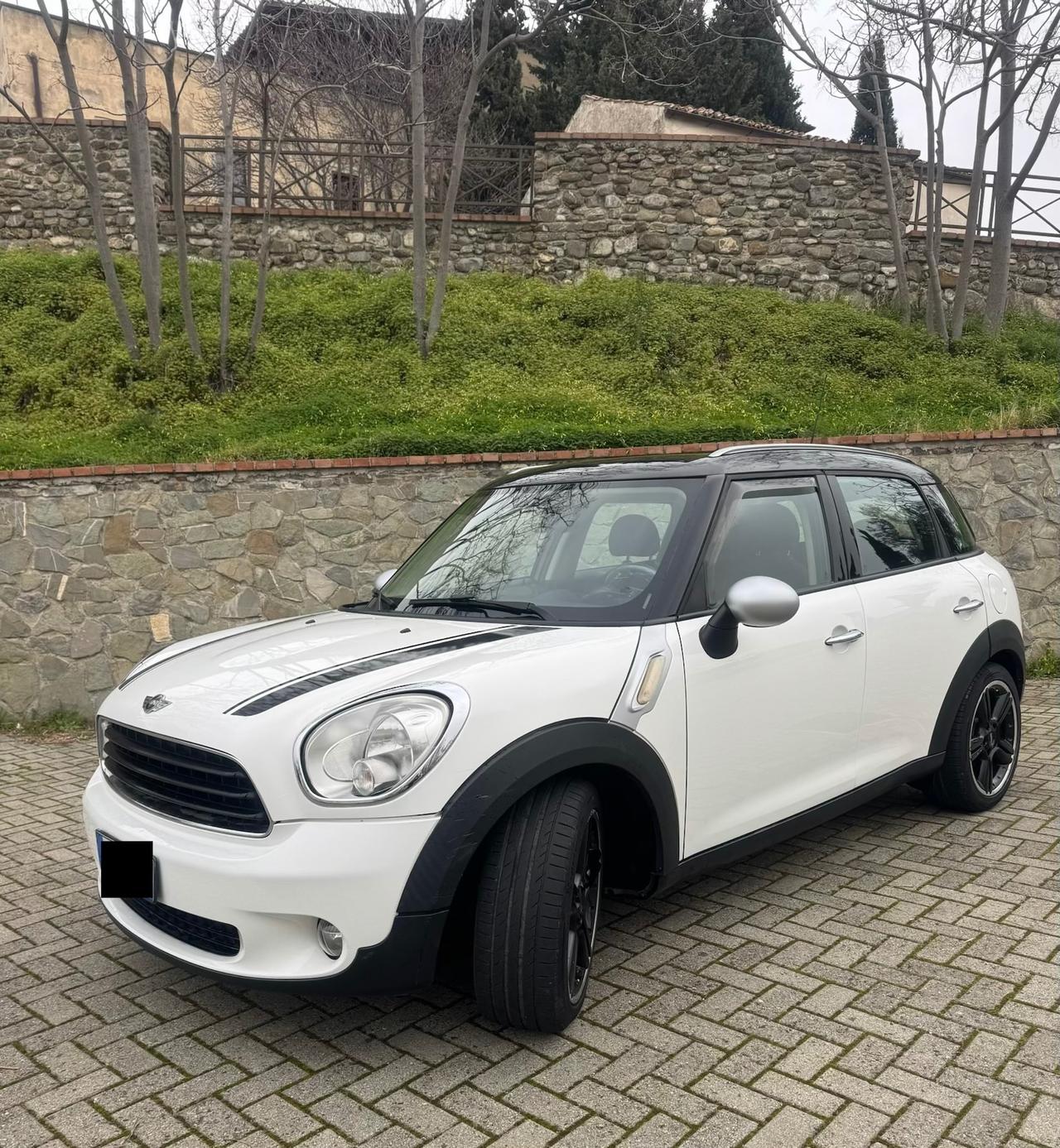 Mini Countryman 1.6 Diesel 110Cv 2010