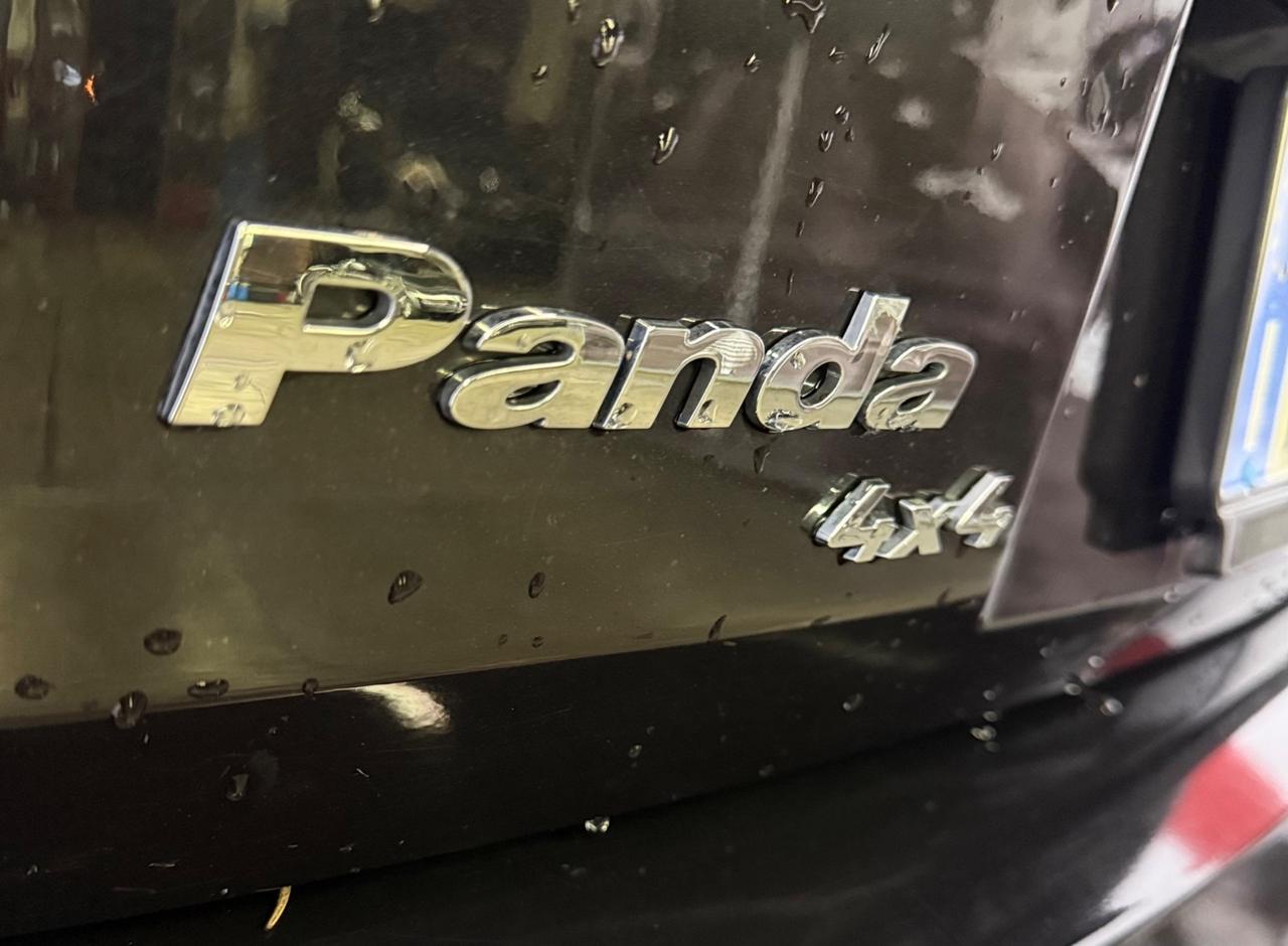 Fiat Panda 1.2 4x4 Climbing