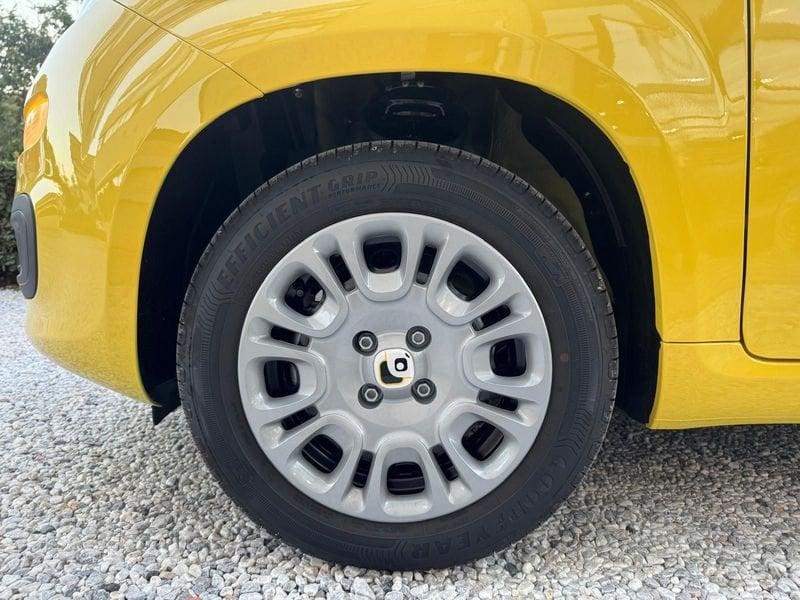 FIAT Panda 1.0 FireFly S&S Hybrid 70cv - Prezzo Reale