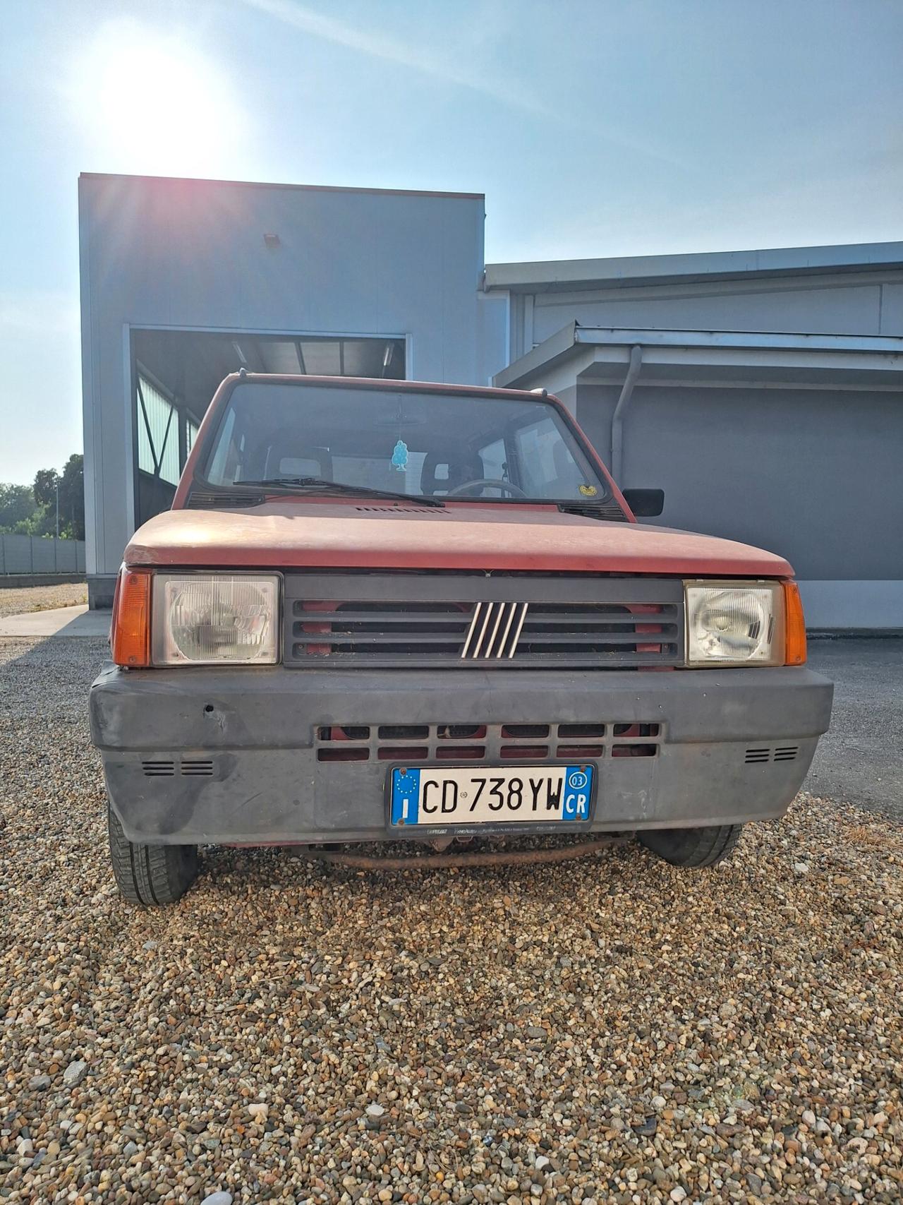 Fiat Panda 1100 i.e. cat Young