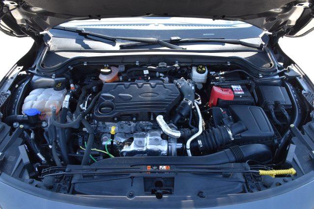 FORD Focus 1.5 EcoBlue 120 CV aut. SW business