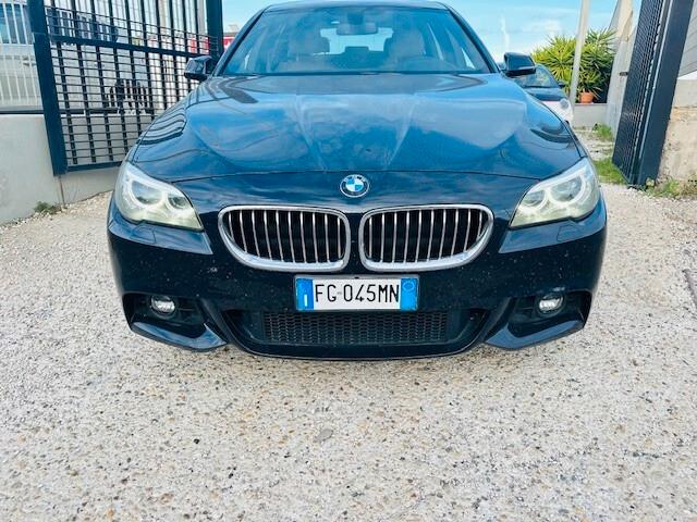 Bmw 525 525d Touring Msport