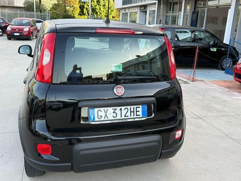 FIAT Panda NEW 1.0 70cv Hybrid PANDA