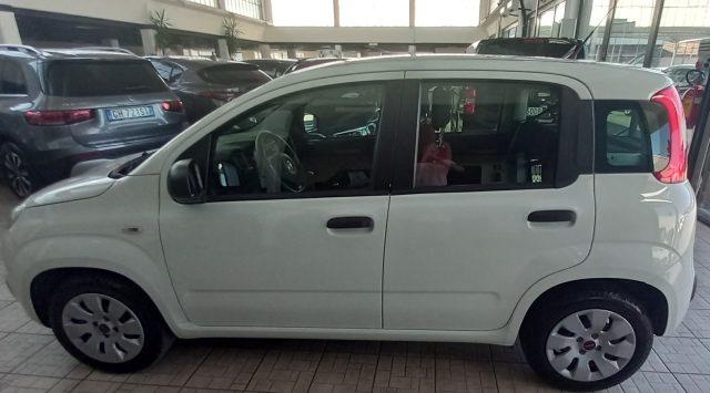 FIAT Panda 1.2 POP