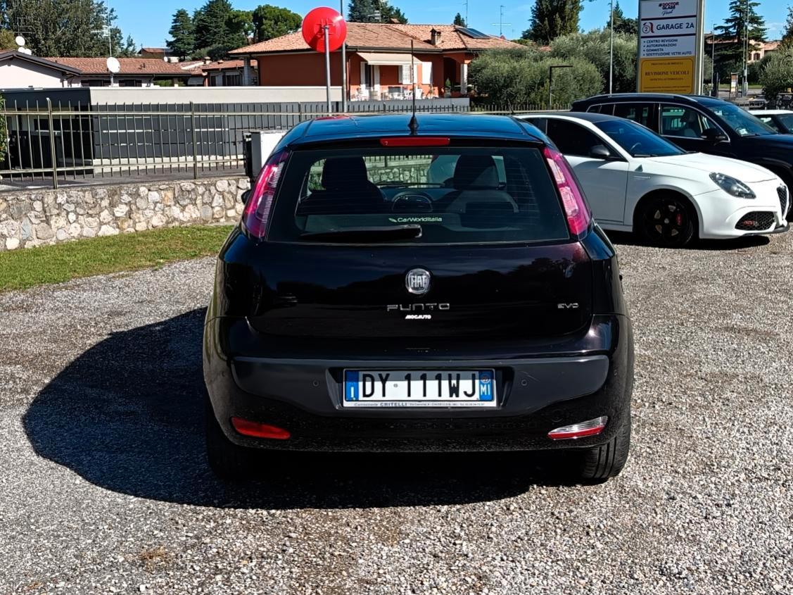 Fiat Punto Evo 1.4 Active - GARANZIA