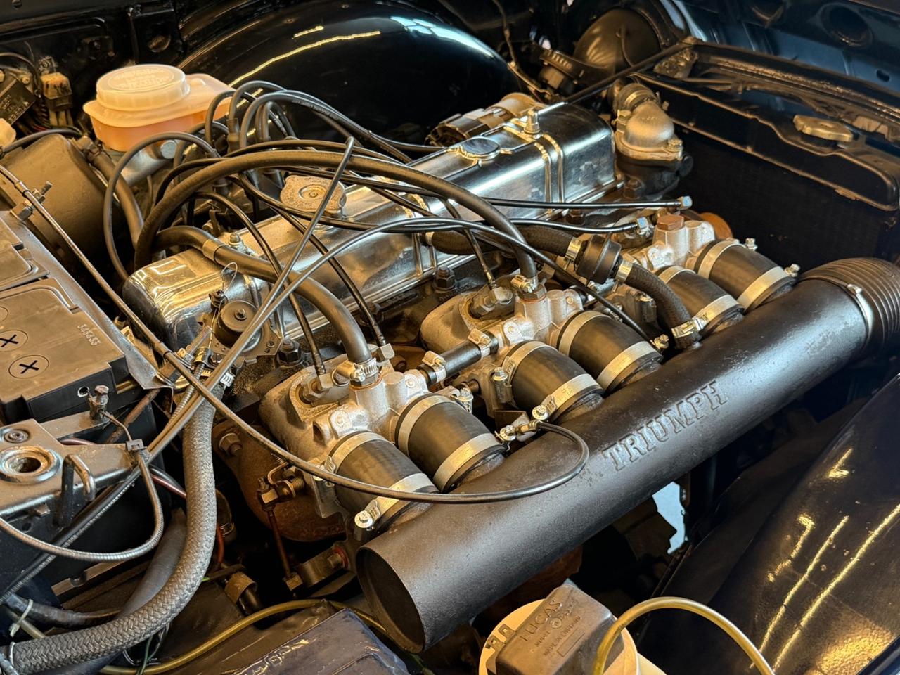 Triumph TR5 1CP -Europen Version– Original LHD