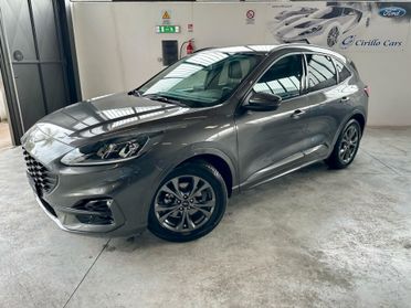 Ford Kuga 1.5 TDCI ST-LINE UFFICIALE FORD